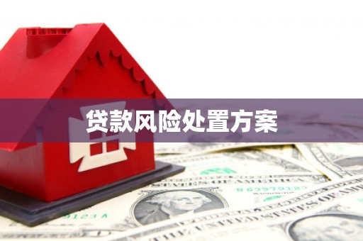 玉田贷款风险处置方案