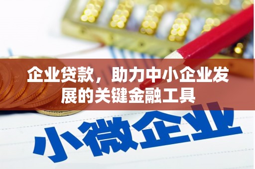 海盐企业贷款，助力中小企业发展的关键金融工具