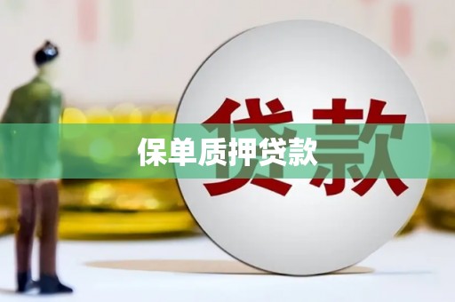 民权保单质押贷款