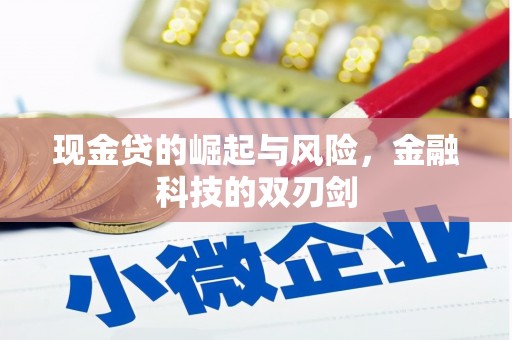 良庆现金贷的崛起与风险，金融科技的双刃剑