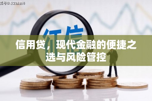 武川信用贷，现代金融的便捷之选与风险管控