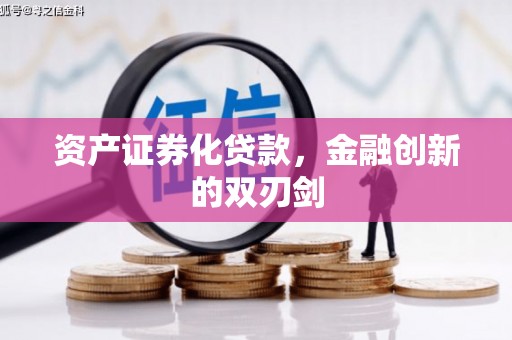 黑水资产证券化贷款，金融创新的双刃剑