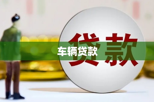 丰县车辆贷款