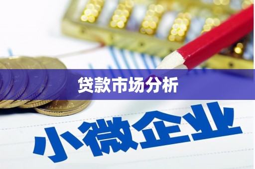 云安贷款市场分析