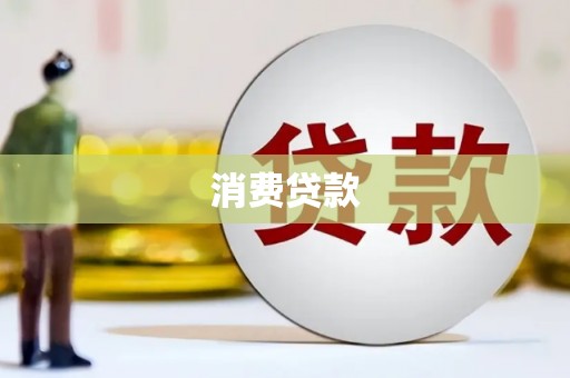 合作消费贷款
