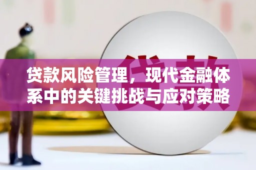 八德贷款风险管理，现代金融体系中的关键挑战与应对策略