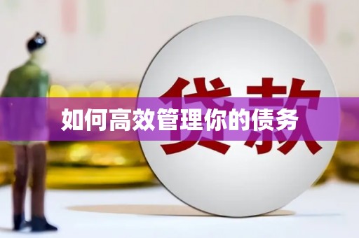 铁山如何高效管理你的债务