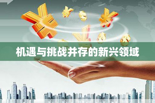 洪雅机遇与挑战并存的新兴领域
