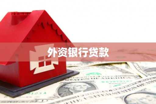 汾阳外资银行贷款