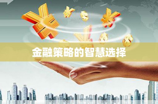 邵阳金融策略的智慧选择