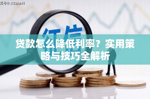 那玛夏贷款怎么降低利率？实用策略与技巧全解析